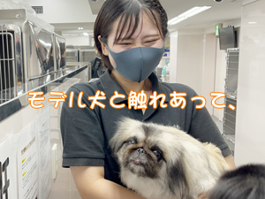 ドッグパークルームの生徒とモデル犬♪